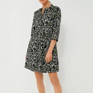 Tuckernuck royal shirt dress